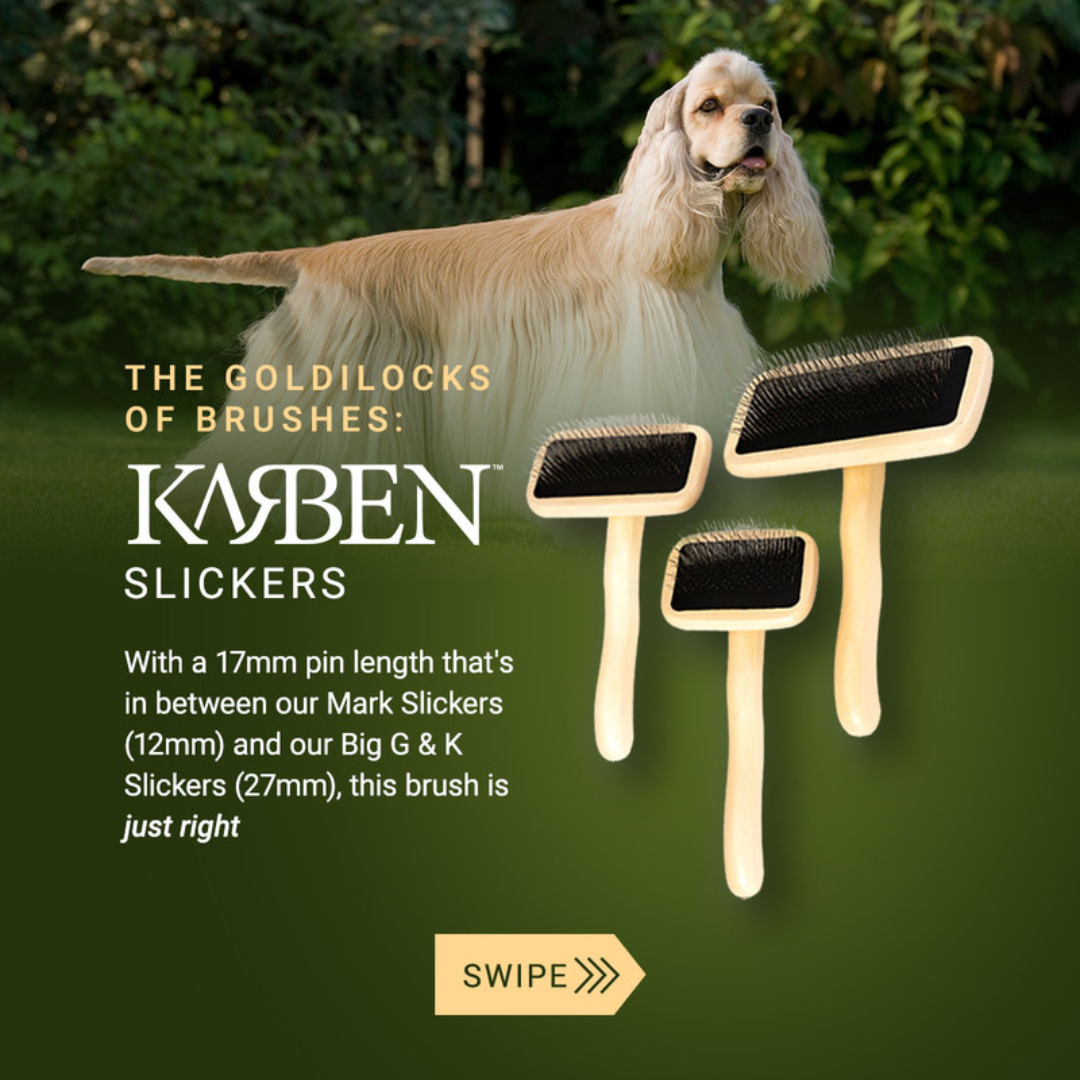 Chris Christensen Kärben Slicker Brushes