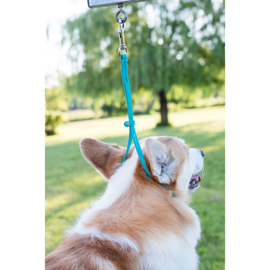 BioThane Grooming Loop With Ring