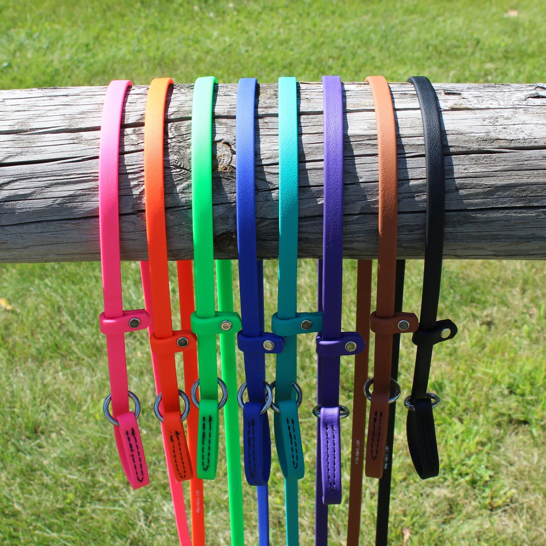 BioThane Slip Leash