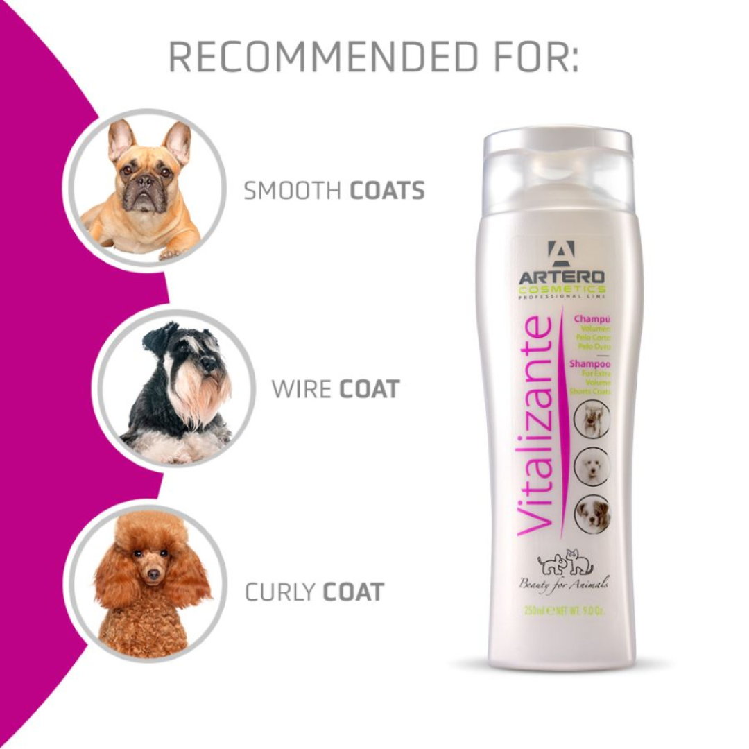 Artero Vitalizante Shampoo 9oz