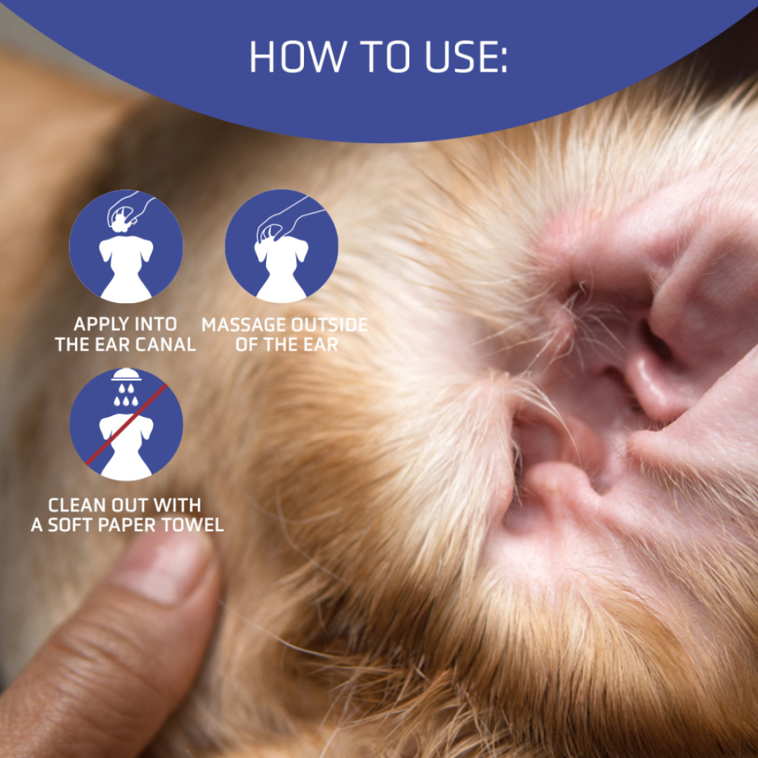 Artero Aurigel Ear Cleaner