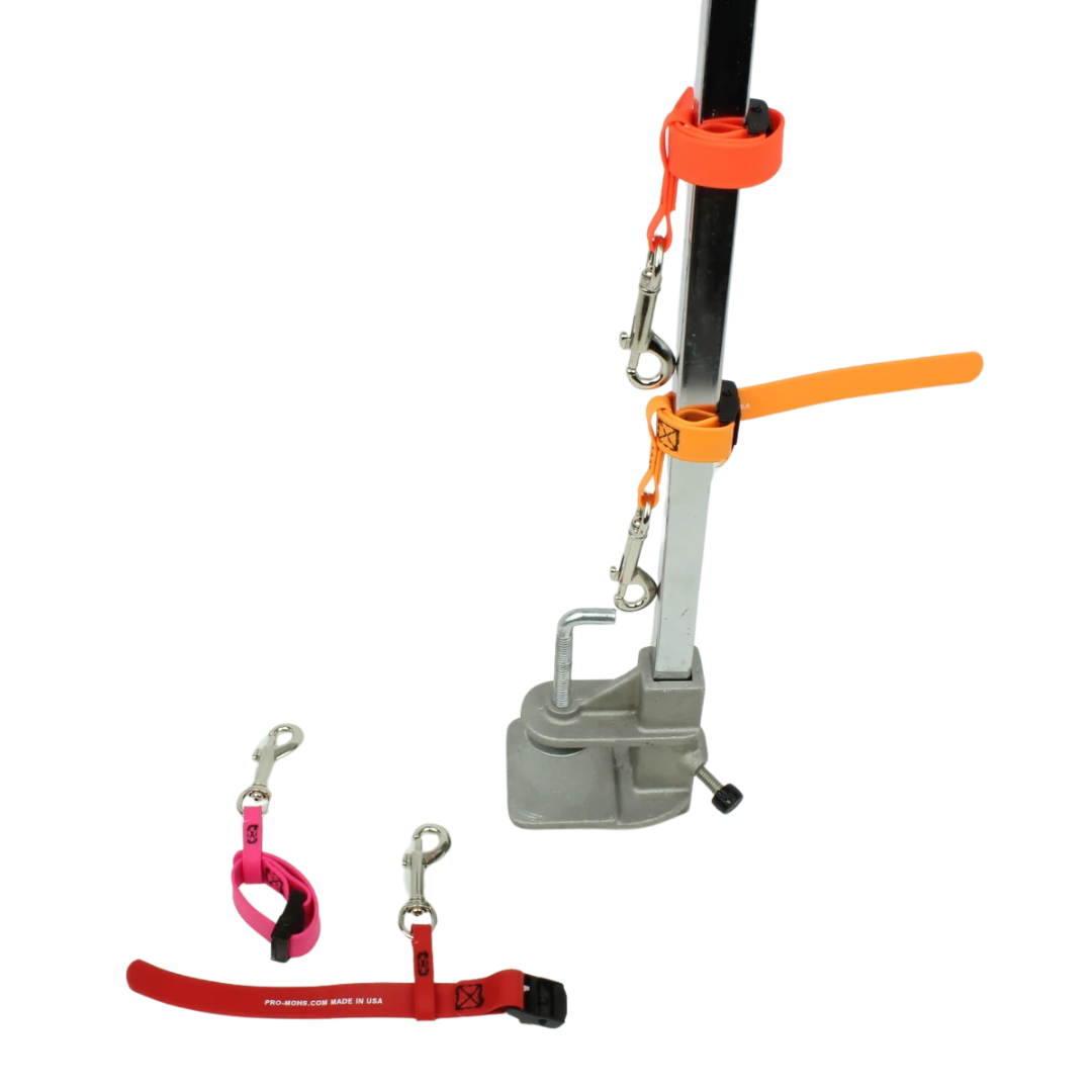 BioThane Grooming Safety Tether