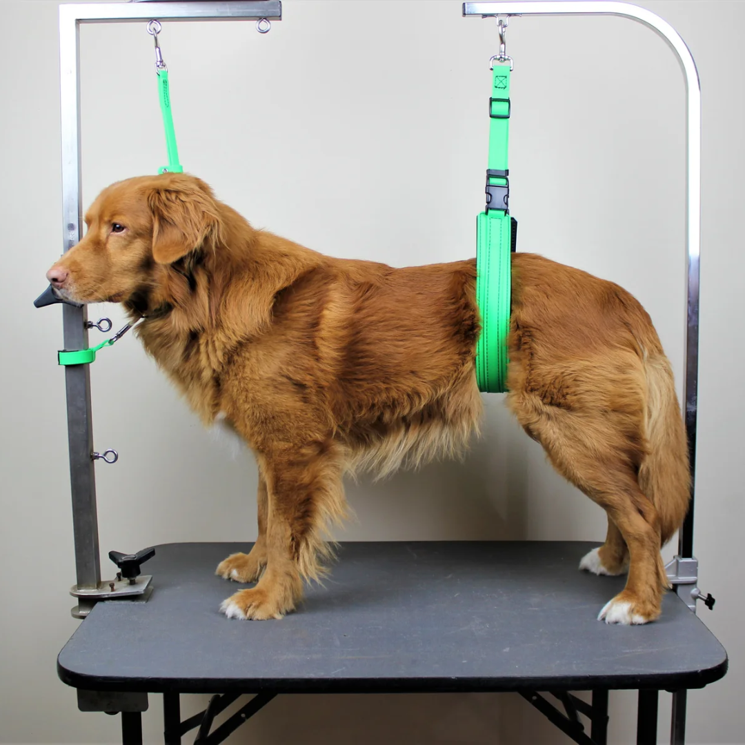 BioThane Grooming Loop With Ring