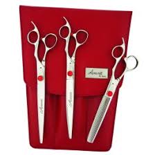 Geib Shears