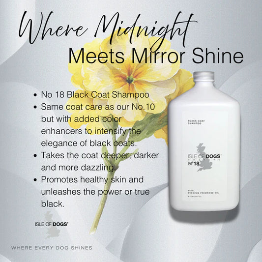 No.18 Black Evening Primrose Shampoo