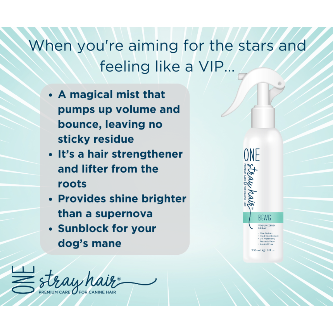 One Stray Hair BigWig Volumizing Spray - 8oz