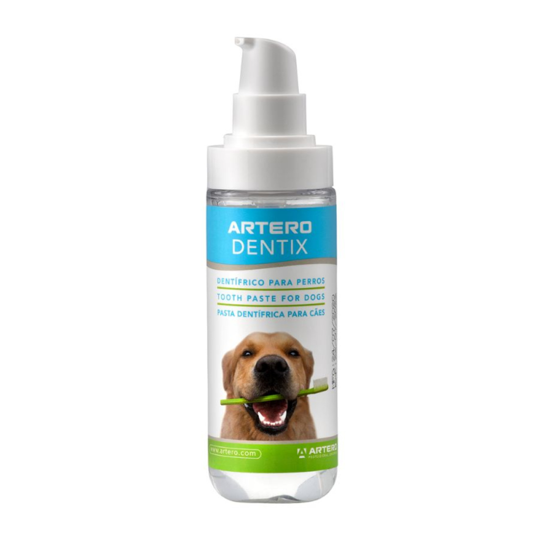 Artero Dentix Toothpaste Gel