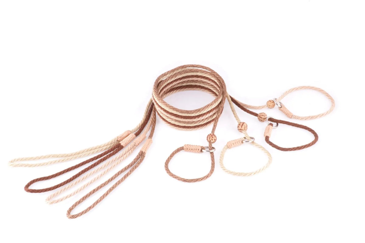 Alvalley Nylon slip lead with stopper