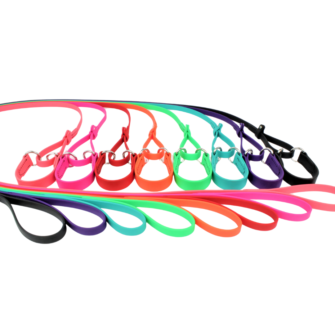 BioThane Sighthound Style Solid Color Martingale Leash 