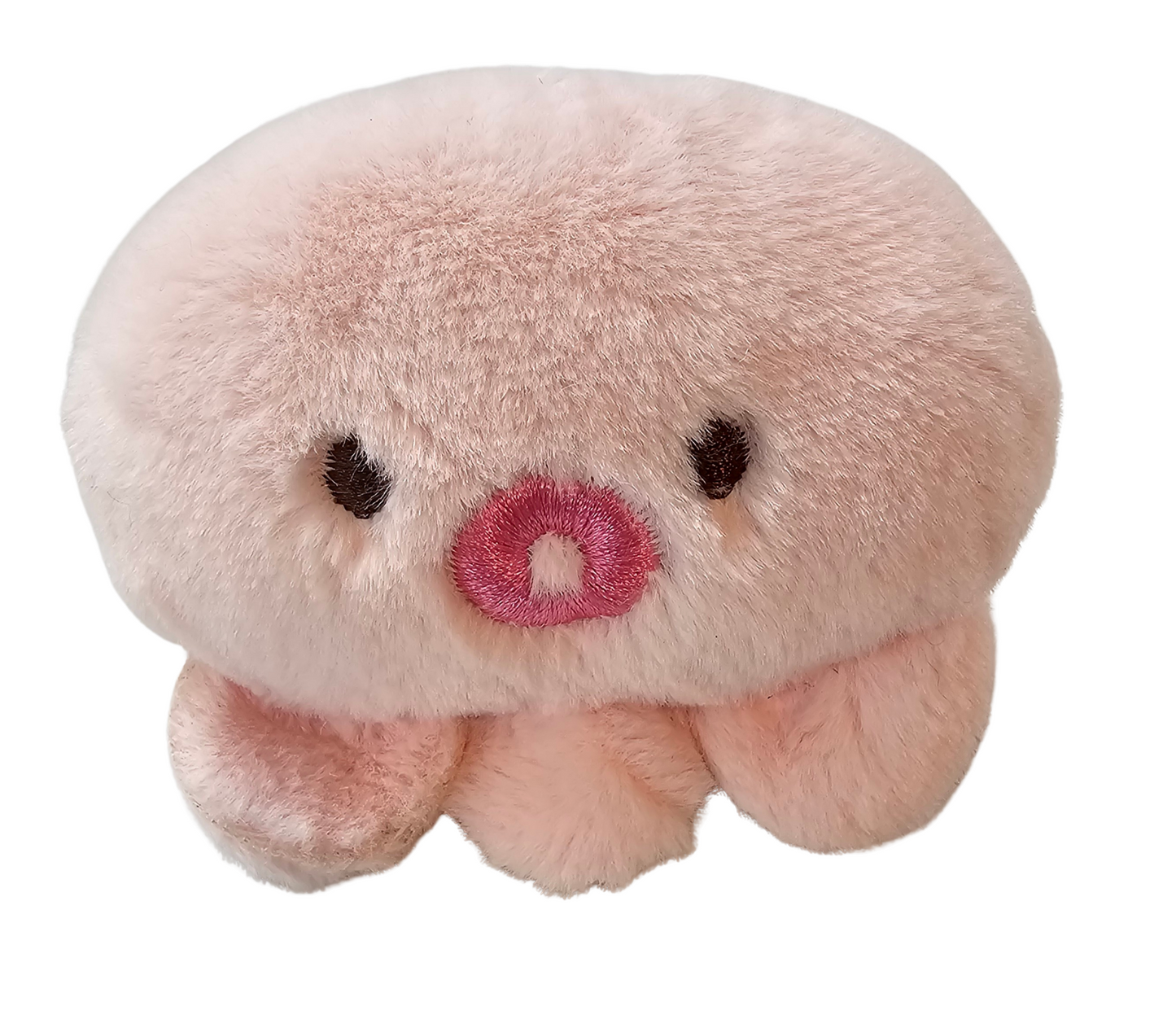 Small Dog Toy Ocean Theme