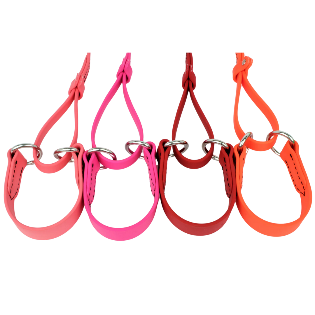 BioThane Sighthound Style Solid Color Martingale Leash 