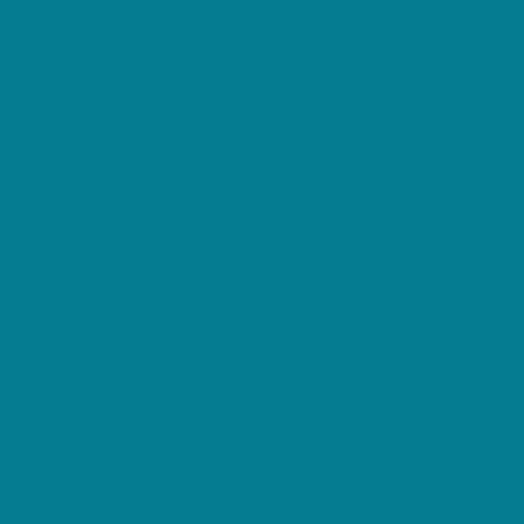 BioThane Color Option