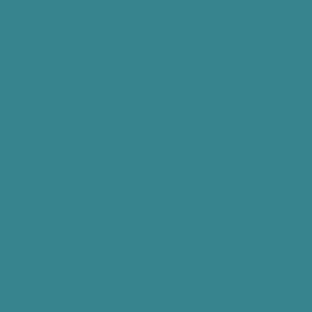 BioThane Color Option