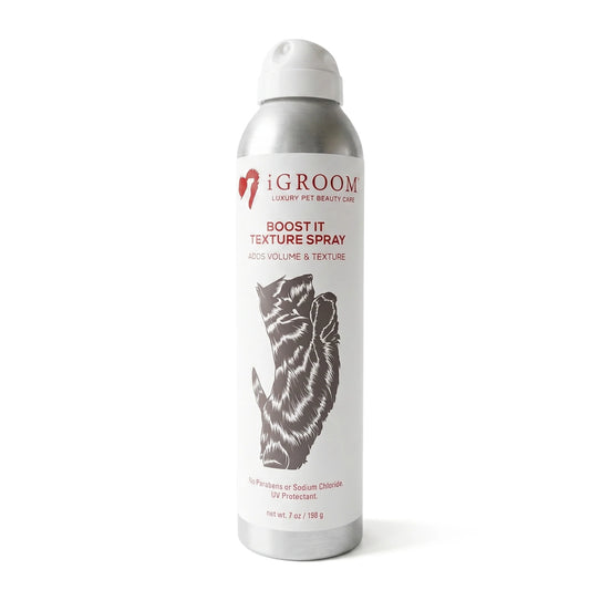 Boost It Texture Aerosol Dog Hairspray