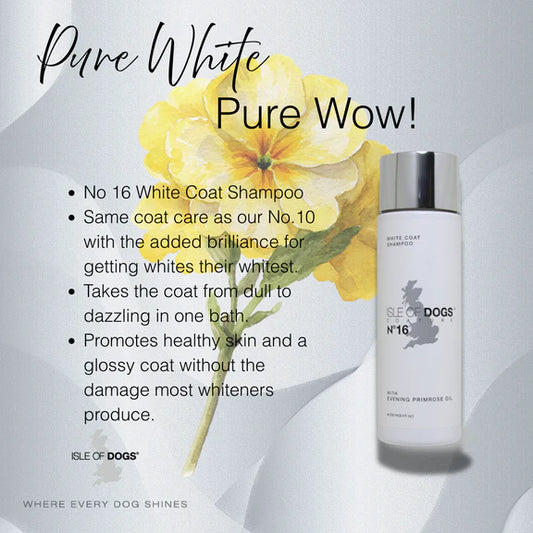 No.16 White Evening Primrose Shampoo