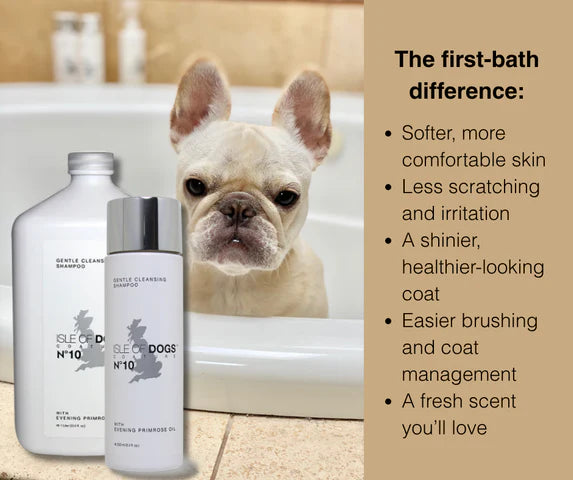 No.10 Evening Primrose Shampoo