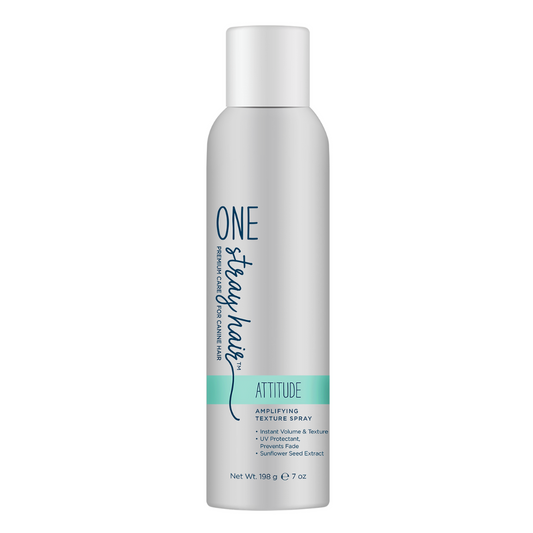 One Stray Hair Attitude Amplifying Texture Spray - 7oz