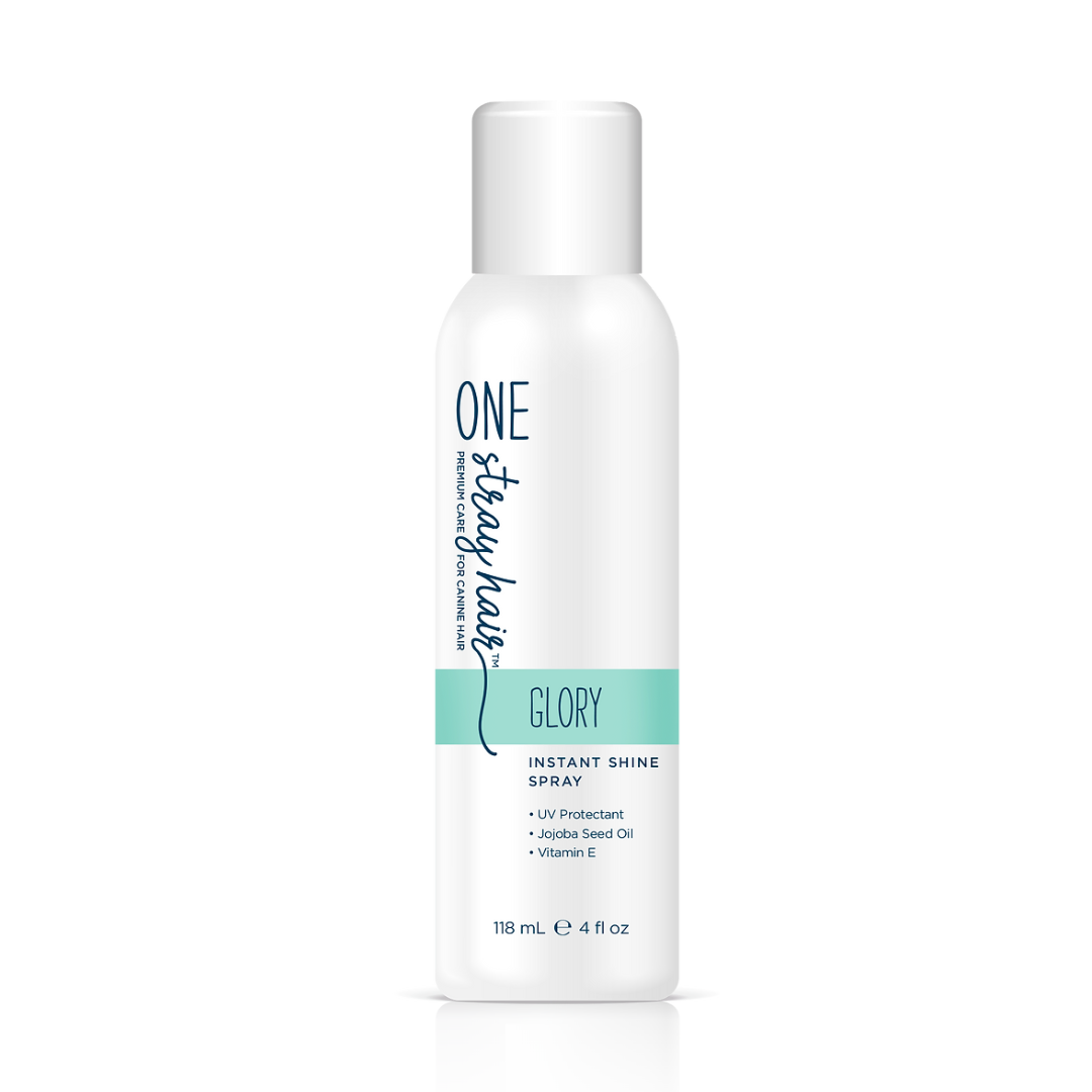 One Stray Hair Glory Instant Shine Spray - 4oz