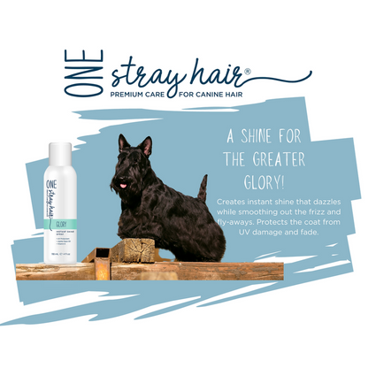 One Stray Hair Glory Instant Shine Spray - 4oz