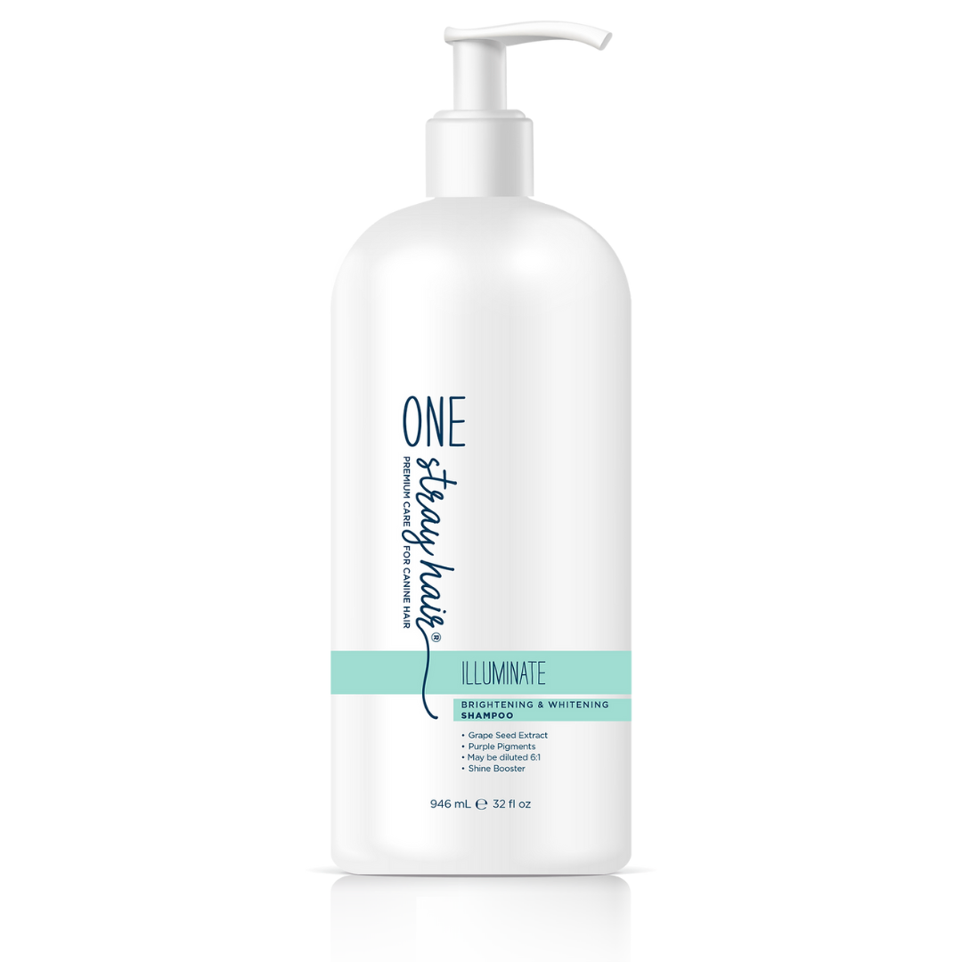 One Stray Hair Illuminate Brightening and Whitening Shampoo