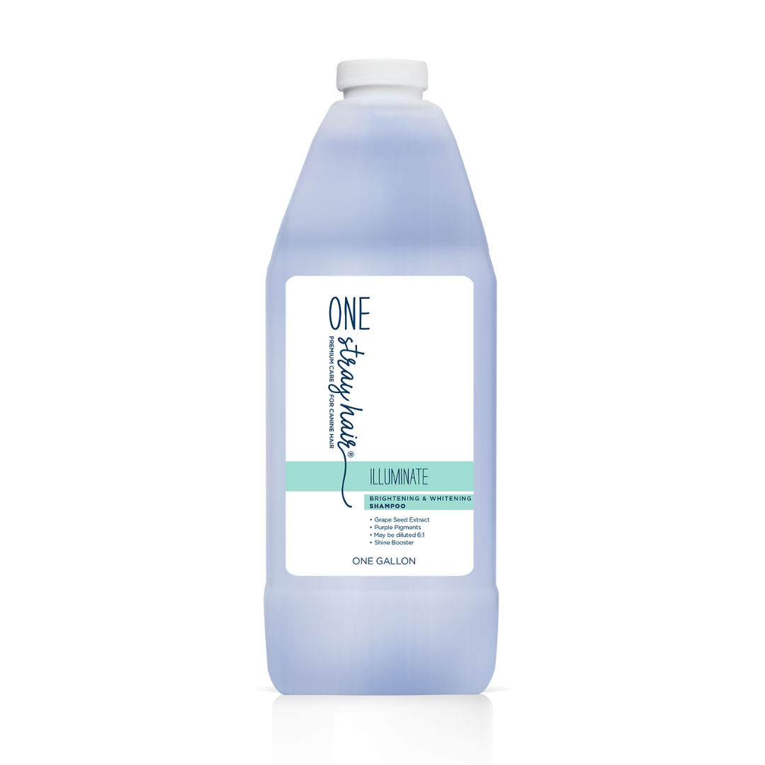 One Stray Hair Illuminate Brightening and Whitening Shampoo