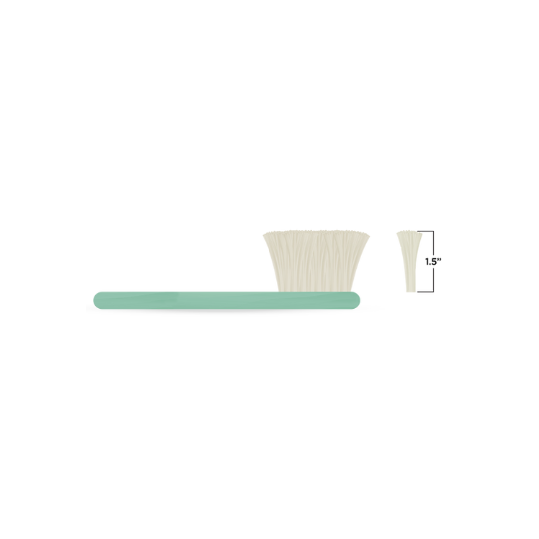 One Stray Hair Sea Glass Powder Brush