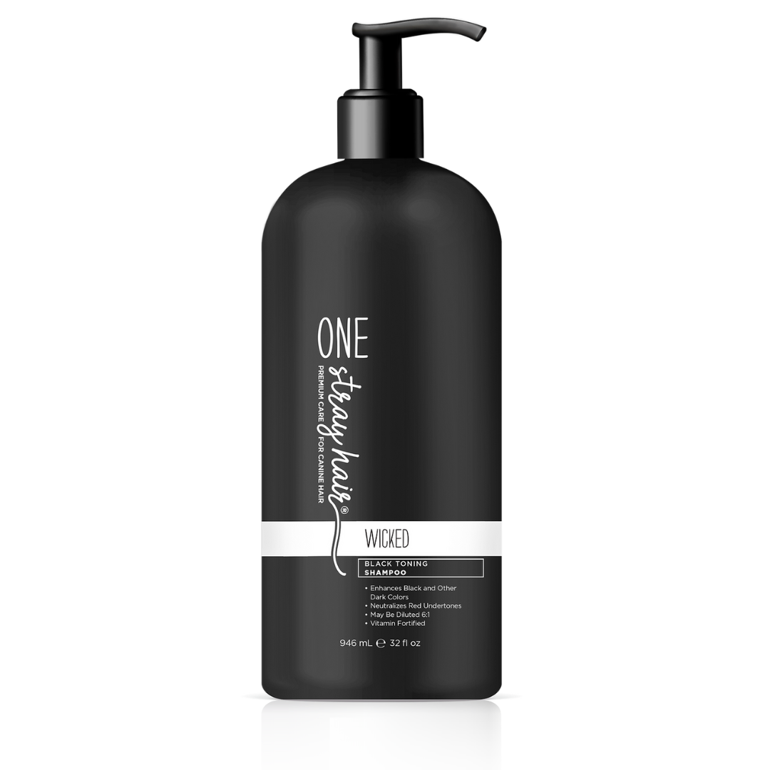 One Stray Hair Wicked Black Toning Shampoo