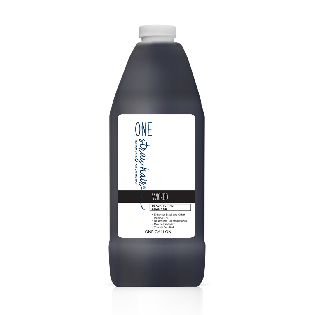 One Stray Hair Wicked Black Toning Shampoo