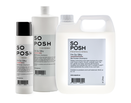 Im So Silky (Silk Protein Shampoo)