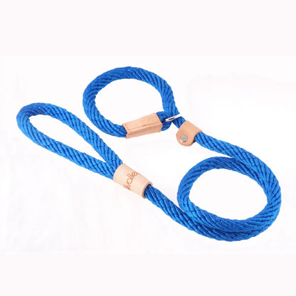 Alvalley Sport Slip Lead With Stopper
