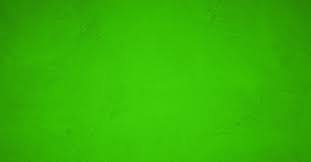 Lainee Small 1/4" Latex Wrapping Bands