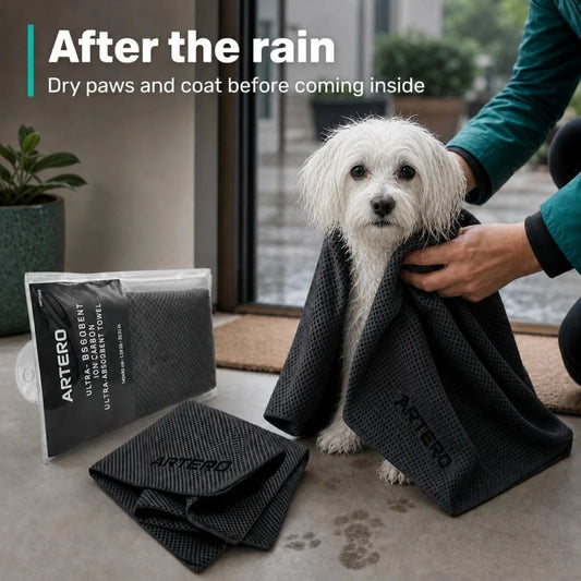Artero Ionized Carbon Ultra-Absorbent Towel