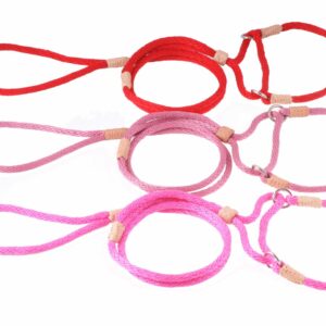 Alvalley/ Martingale Leads