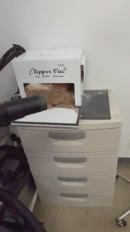 HairLess Filters for Shop Vacs and Clipper Vacs