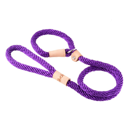Alvalley Sport Slip Lead With Stopper