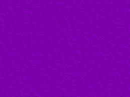 Lainee Large Latex Wrapping Bands