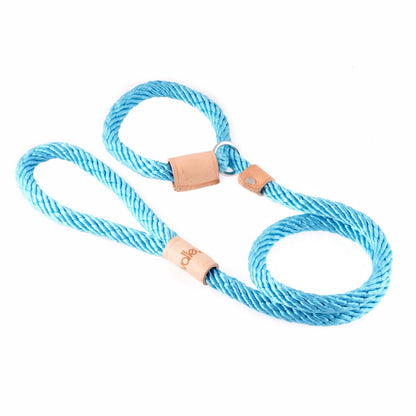 Alvalley Sport Slip Lead With Stopper